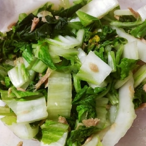 白菜とツナの中華サラダ